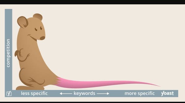 cuvinte-cheie-long-tail-foto-yoast